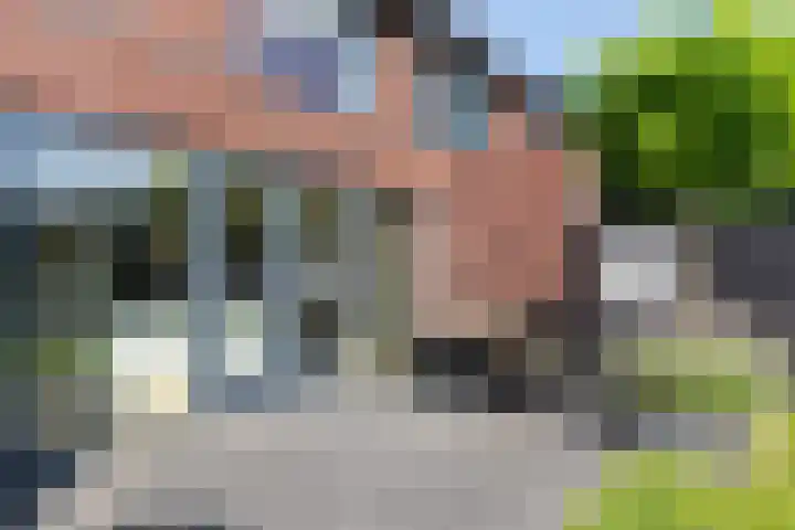 Honingzwam 10 Apeldoorn thumbnail 23