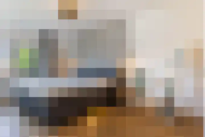 Honingzwam 10 Apeldoorn thumbnail 27