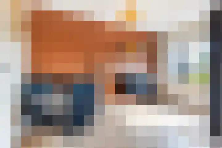 Honingzwam 10 Apeldoorn thumbnail 29