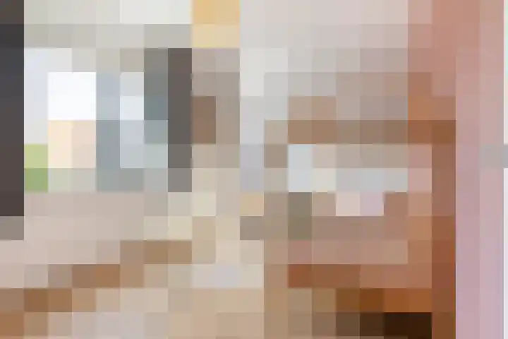 Honingzwam 10 Apeldoorn thumbnail 30