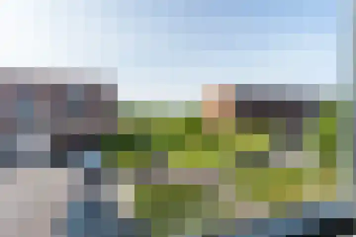Honingzwam 10 Apeldoorn thumbnail 31
