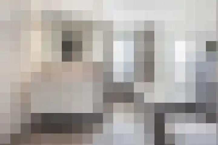 Honingzwam 10 Apeldoorn thumbnail 32