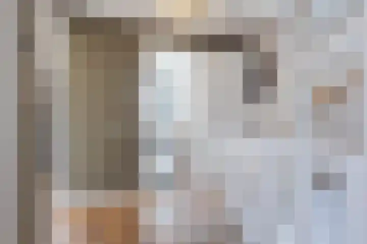 Honingzwam 10 Apeldoorn thumbnail 36