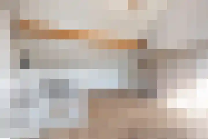 Honingzwam 10 Apeldoorn thumbnail 37