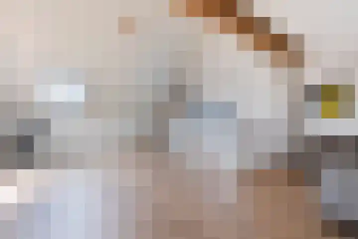 Honingzwam 10 Apeldoorn thumbnail 38