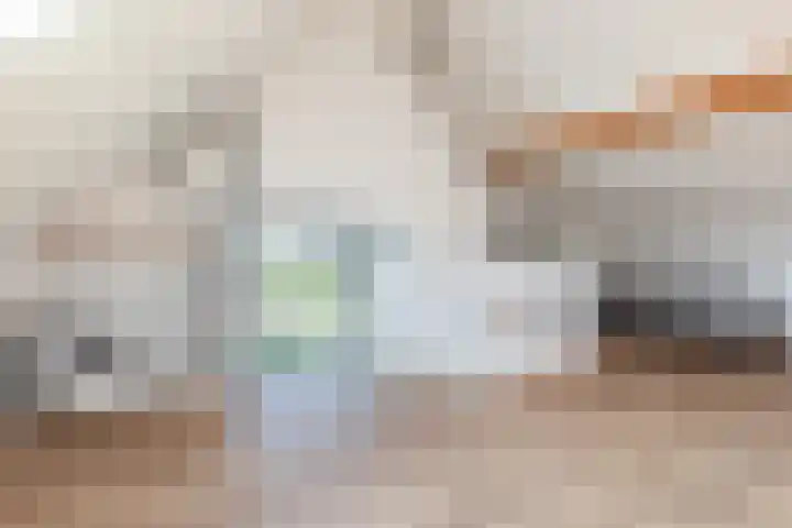 Honingzwam 10 Apeldoorn thumbnail 39