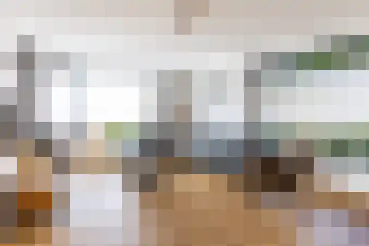 Honingzwam 10 Apeldoorn thumbnail 4