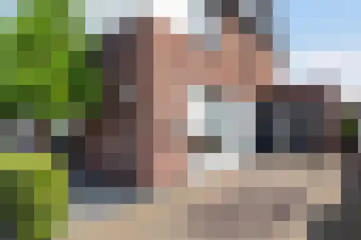 Honingzwam 10 Apeldoorn thumbnail 40