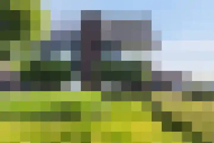 Honingzwam 10 Apeldoorn thumbnail 41