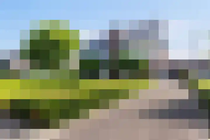 Honingzwam 10 Apeldoorn thumbnail 42