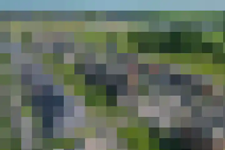 Honingzwam 10 Apeldoorn thumbnail 45