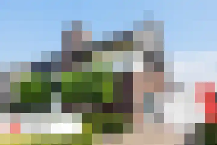 Honingzwam 10 Apeldoorn thumbnail 46
