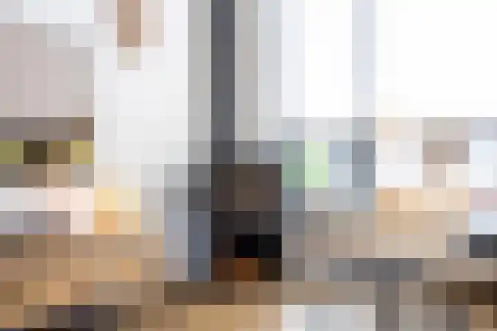 Honingzwam 10 Apeldoorn thumbnail 6