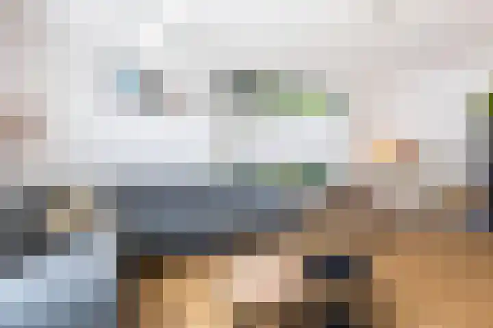 Honingzwam 10 Apeldoorn thumbnail 7