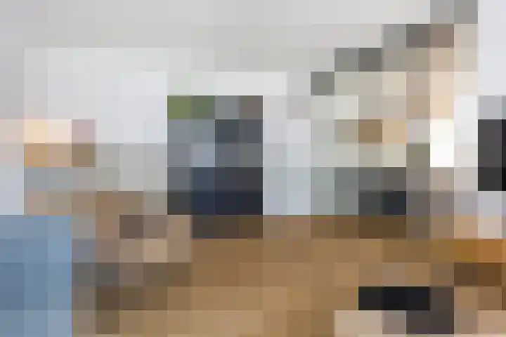 Honingzwam 10 Apeldoorn thumbnail 8