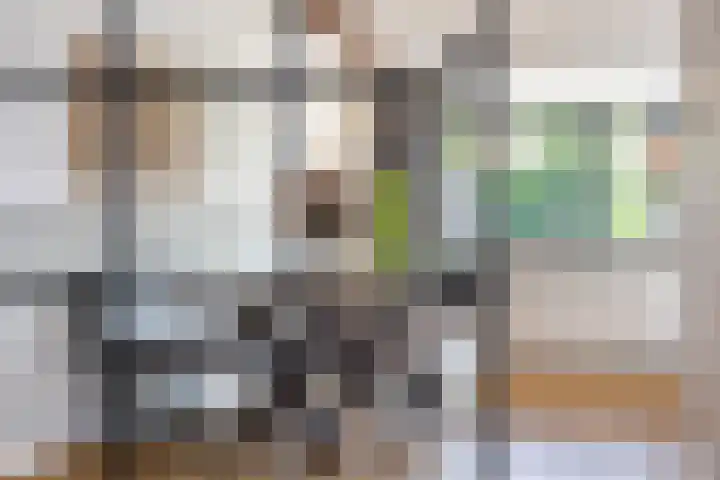 Honingzwam 10 Apeldoorn thumbnail 9