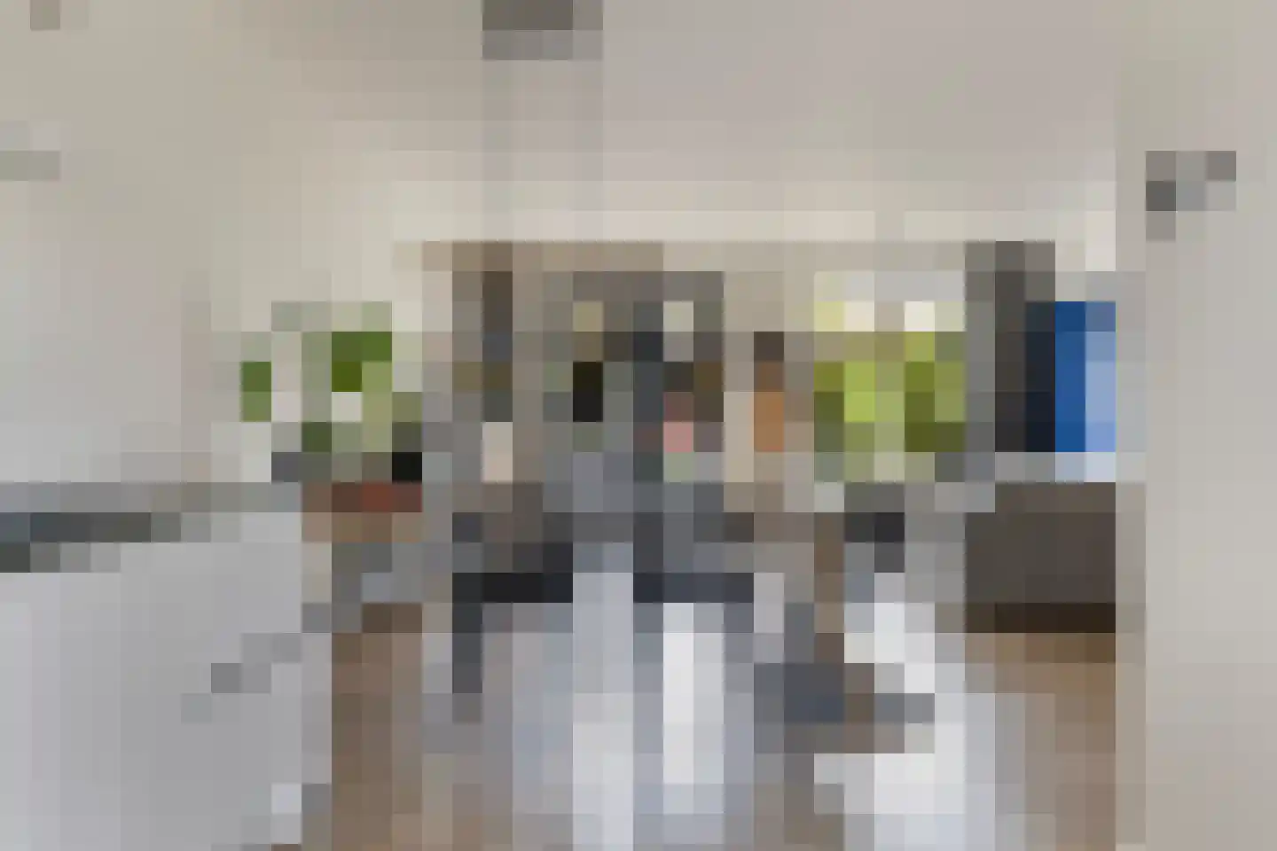 Honingzwam 105 Apeldoorn thumbnail 11