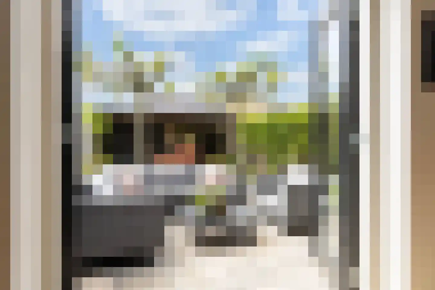 Honingzwam 105 Apeldoorn thumbnail 14