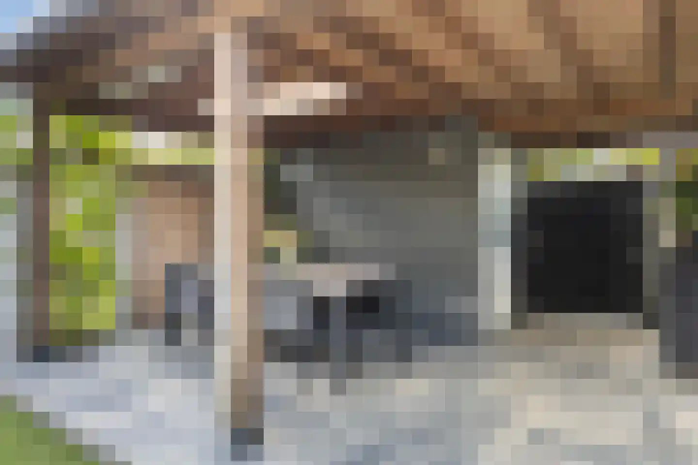 Honingzwam 105 Apeldoorn thumbnail 17