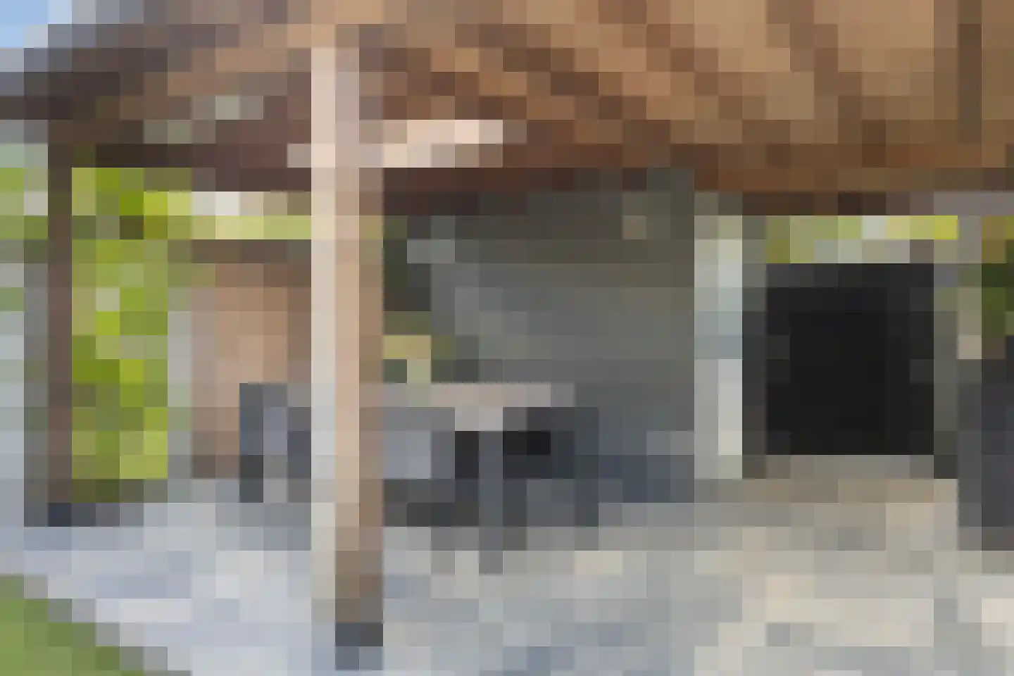 Honingzwam 105 Apeldoorn thumbnail 17