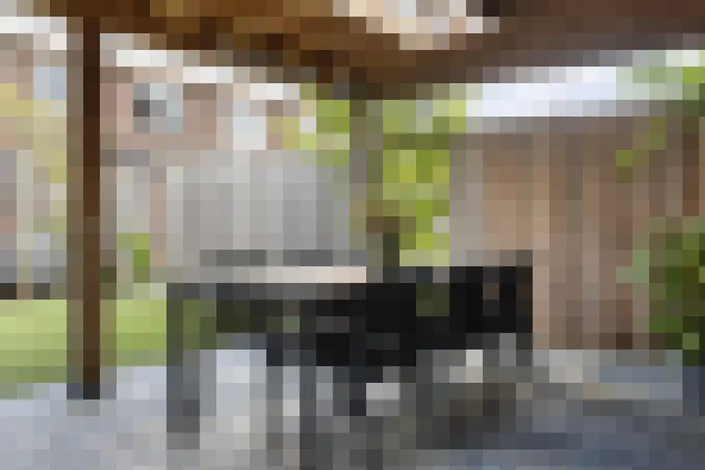Honingzwam 105 Apeldoorn thumbnail 18