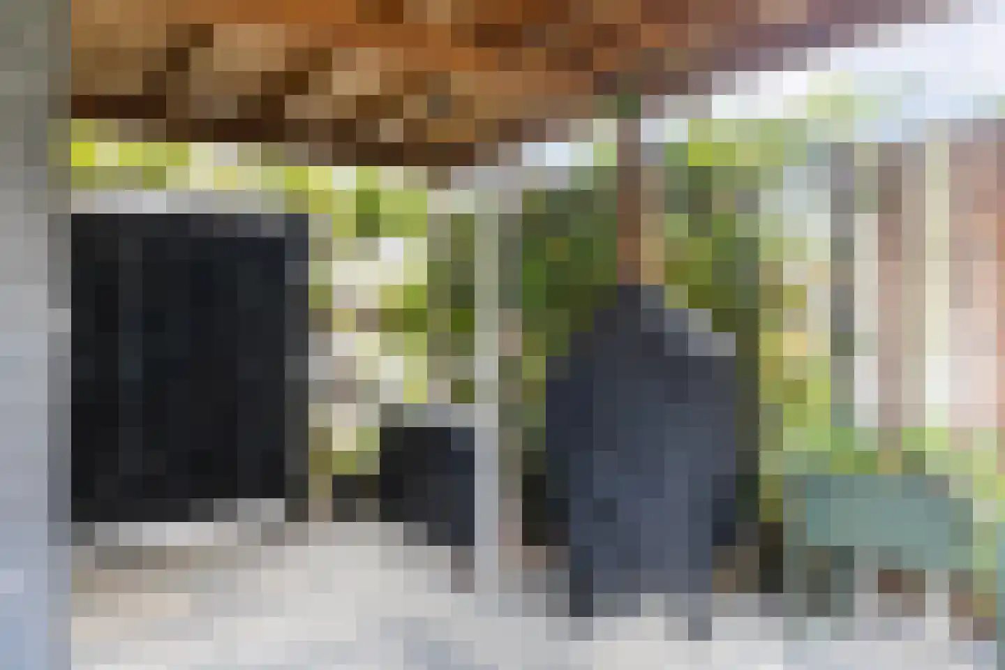 Honingzwam 105 Apeldoorn thumbnail 19