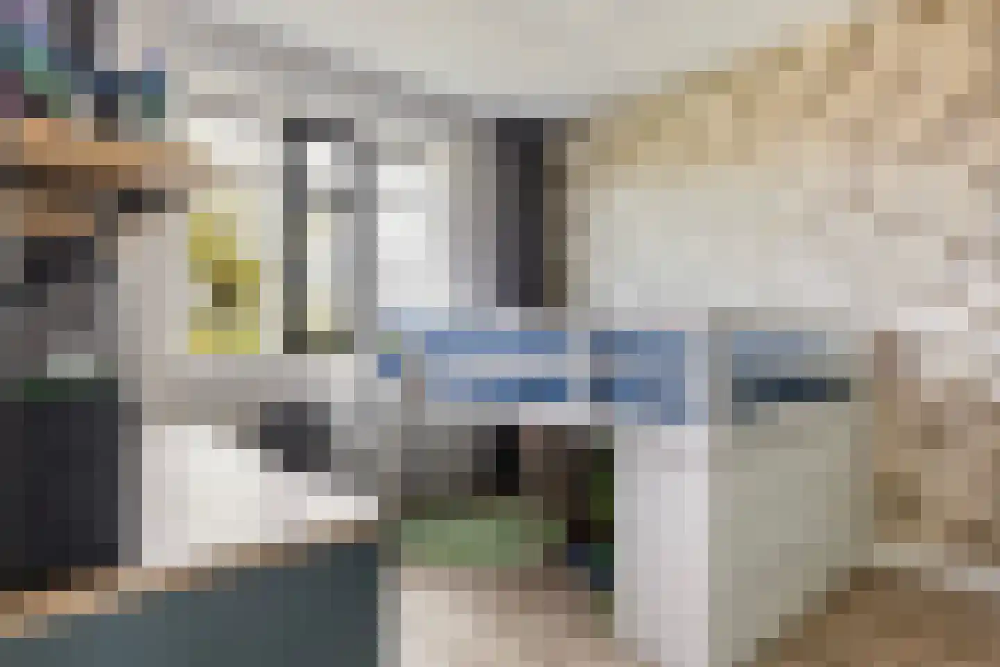Honingzwam 105 Apeldoorn thumbnail 22