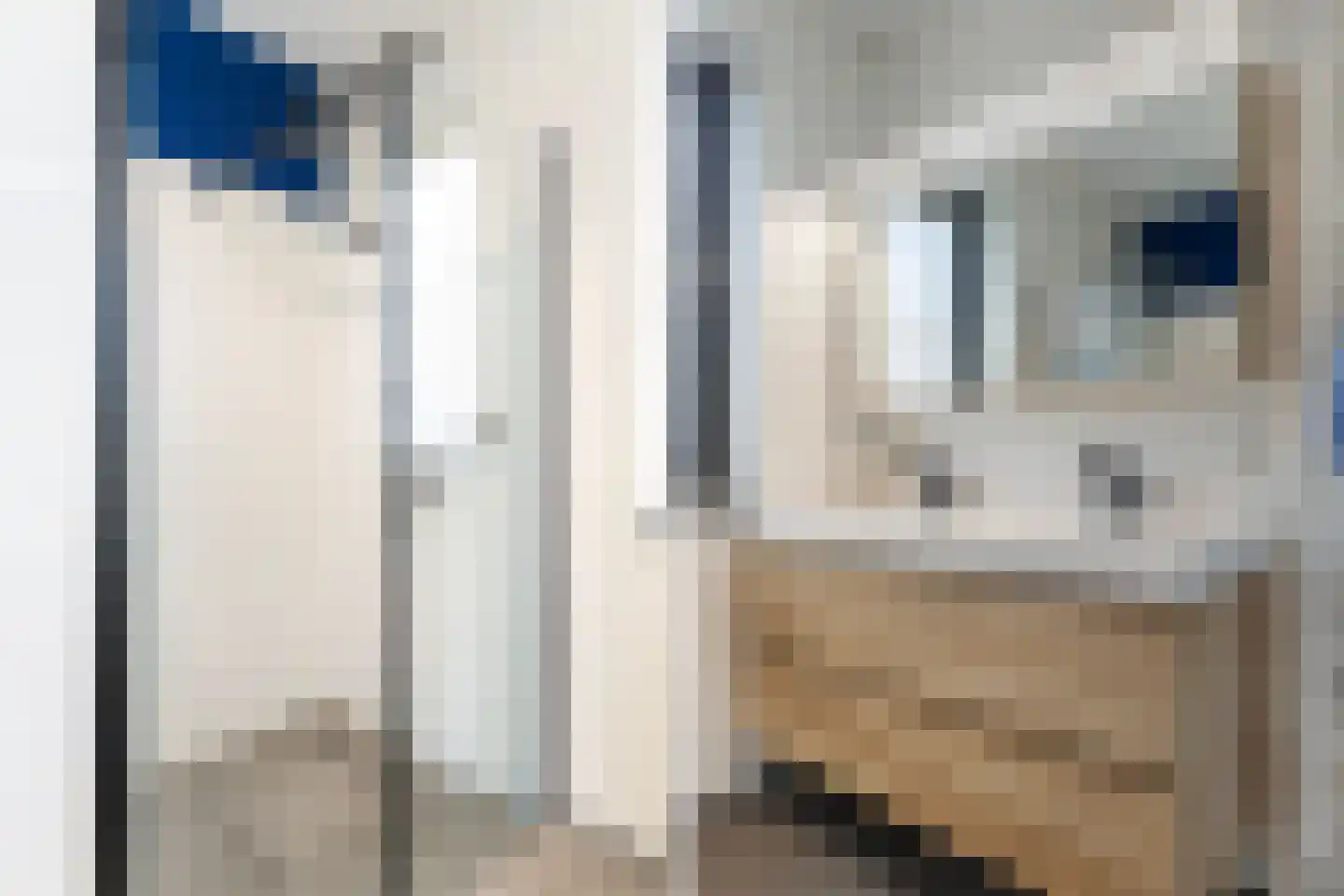 Honingzwam 105 Apeldoorn thumbnail 25
