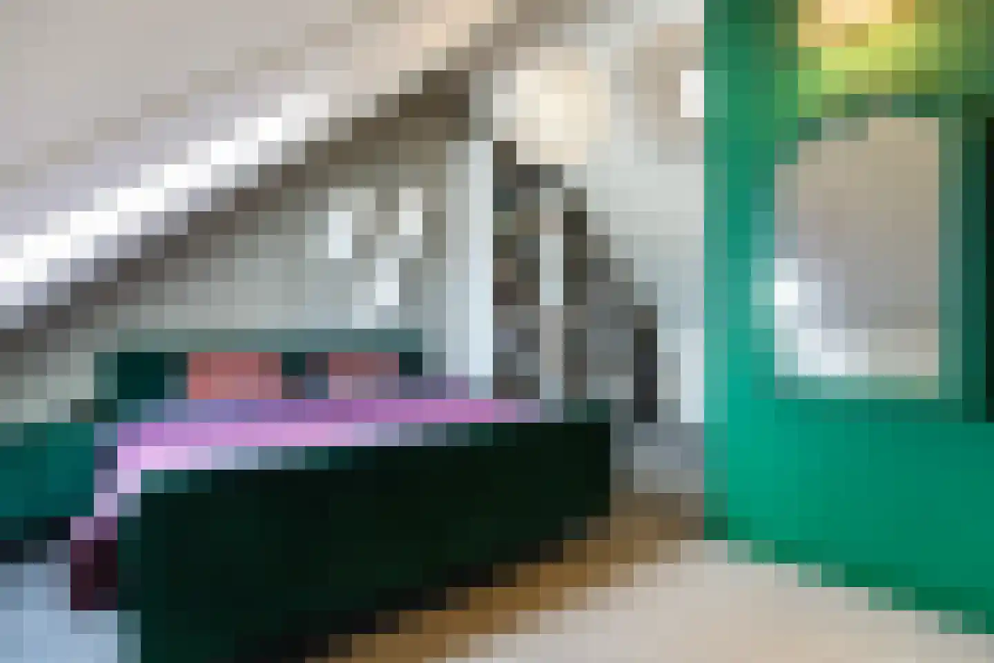 Honingzwam 105 Apeldoorn thumbnail 26