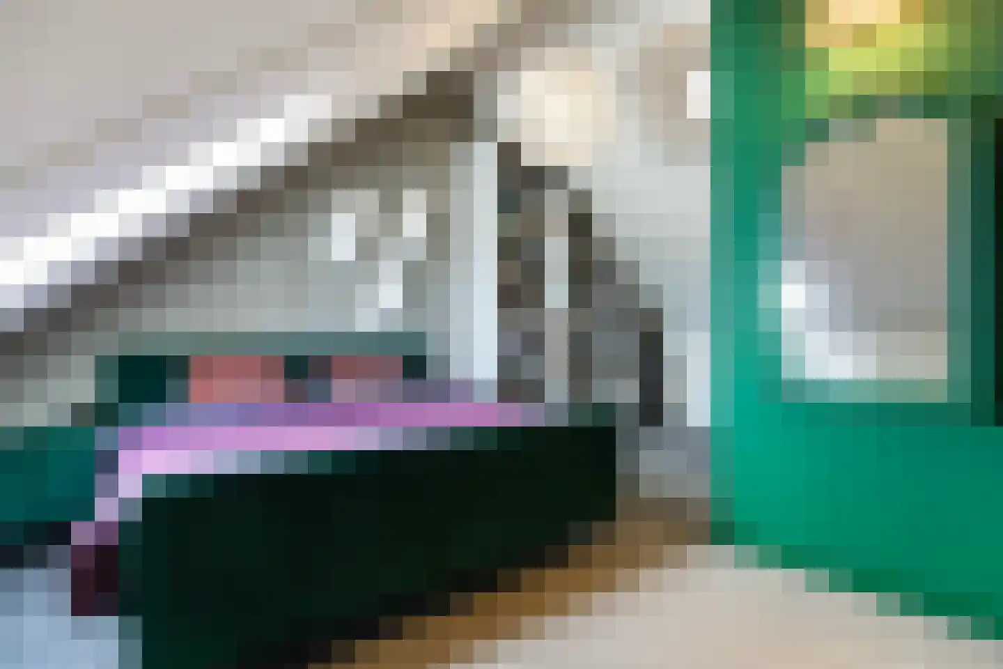 Honingzwam 105 Apeldoorn thumbnail 26