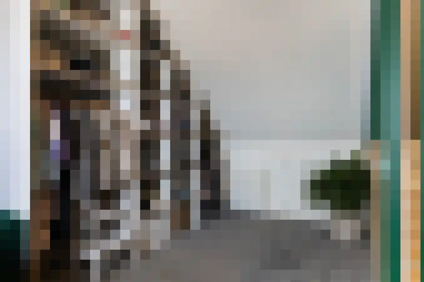 Honingzwam 105 Apeldoorn thumbnail 28
