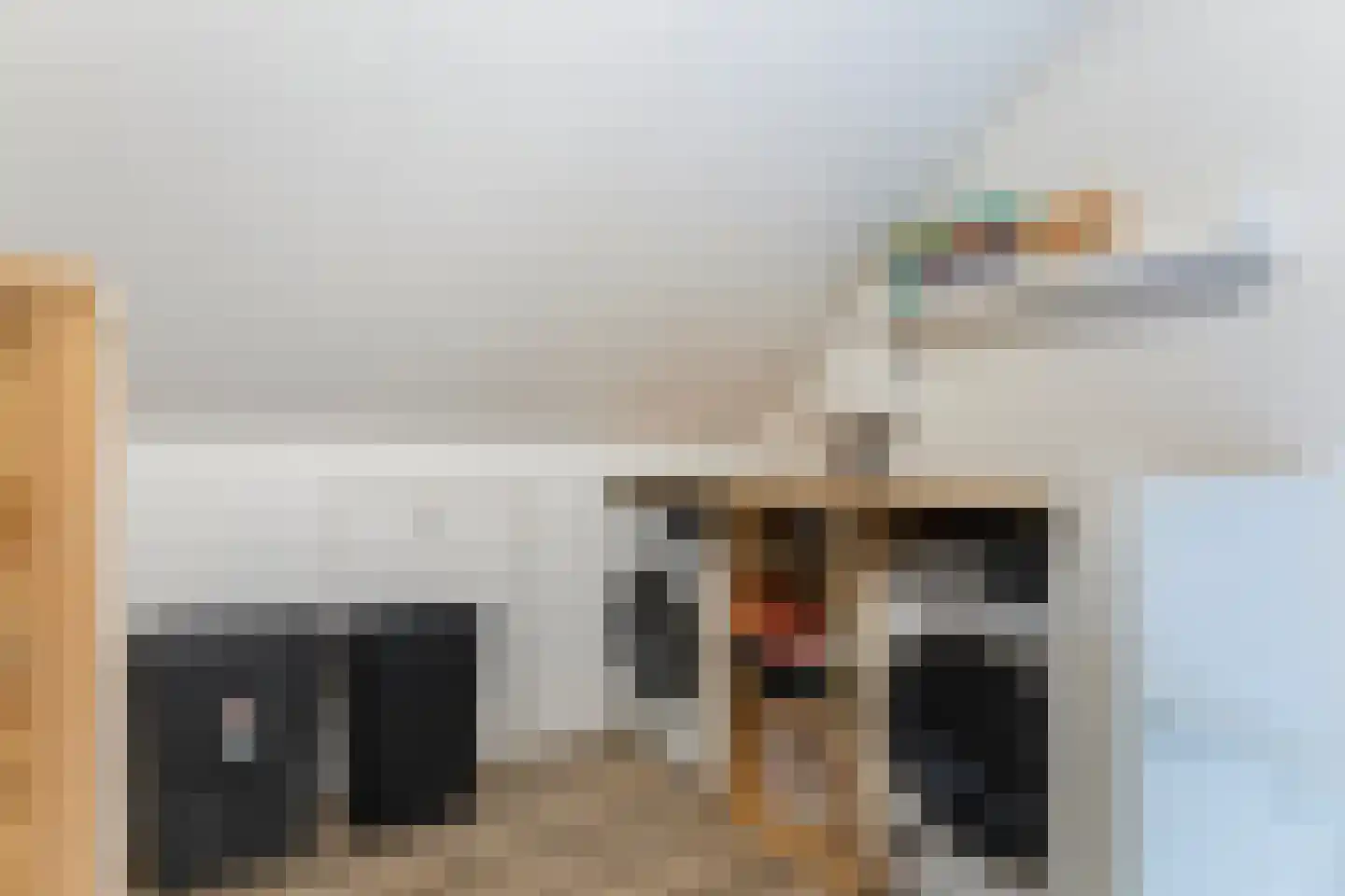 Honingzwam 105 Apeldoorn thumbnail 30