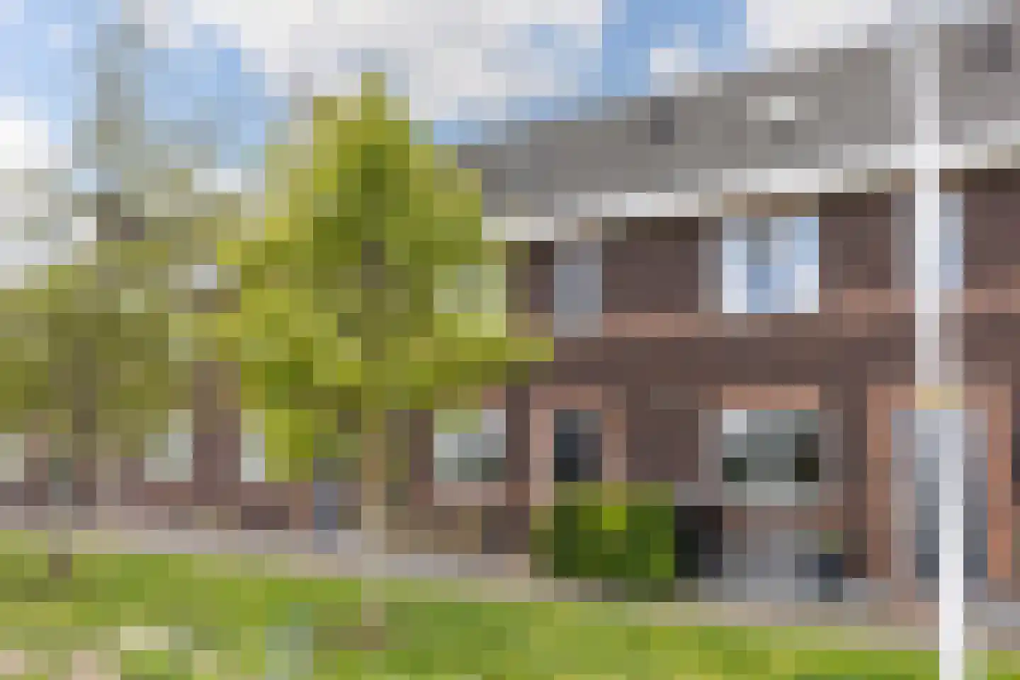 Honingzwam 105 Apeldoorn thumbnail 32