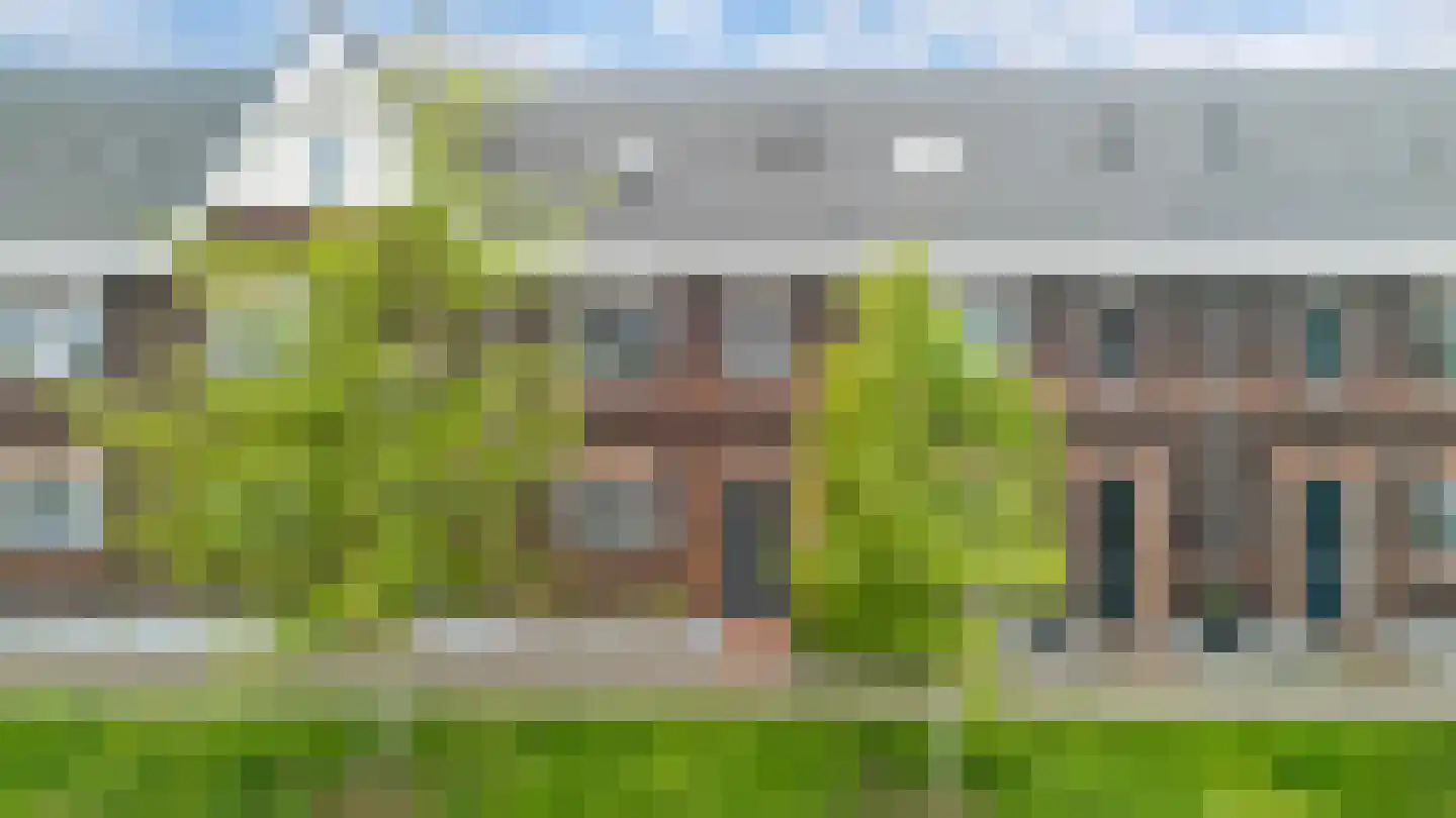 Honingzwam 105 Apeldoorn thumbnail 33