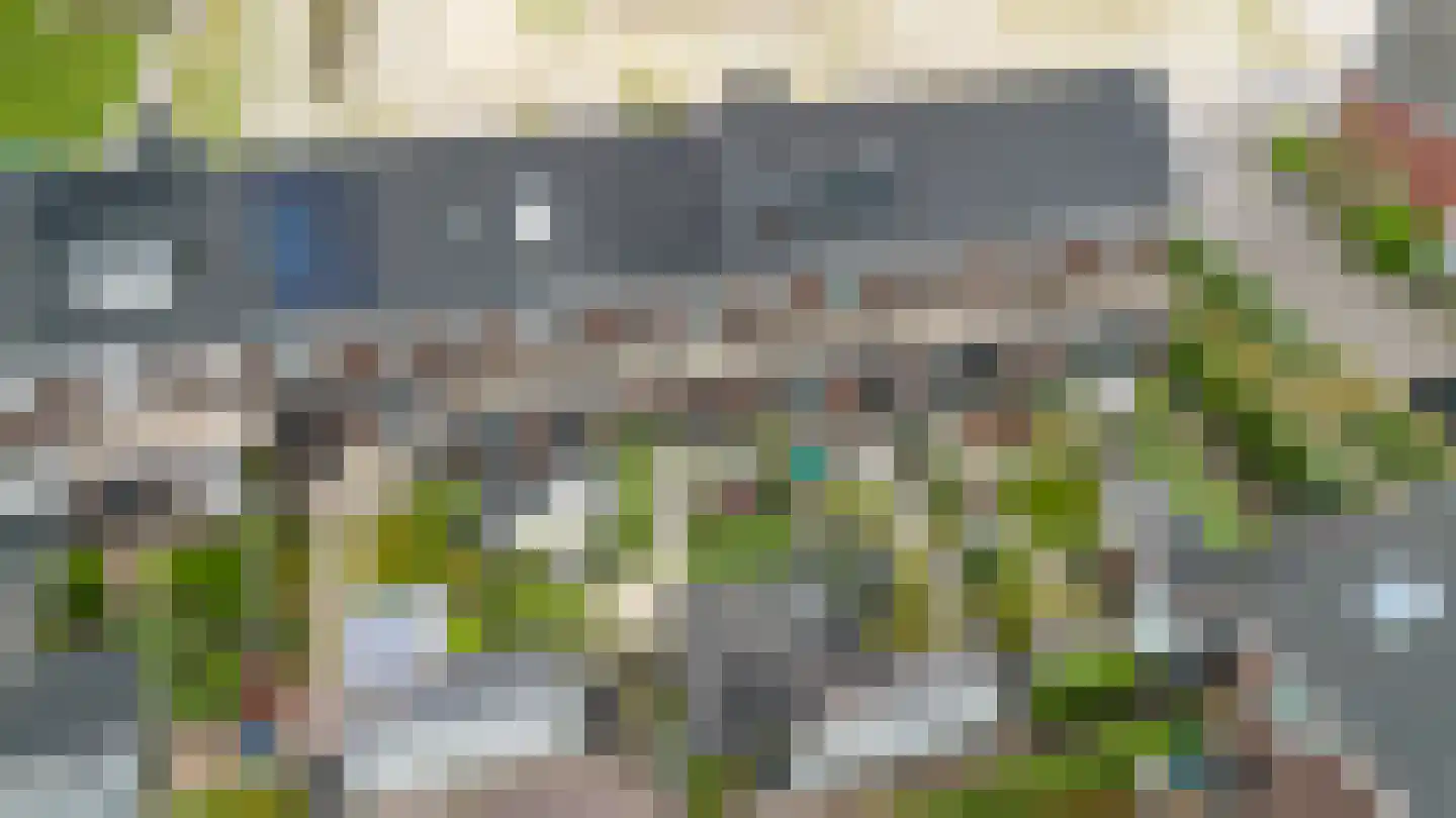 Honingzwam 105 Apeldoorn thumbnail 35