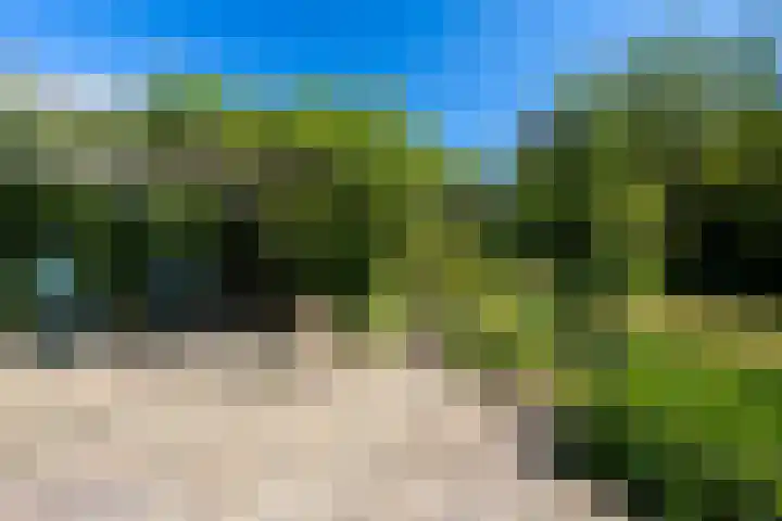 Honingzwam 110 Alphen aan den Rijn thumbnail 27
