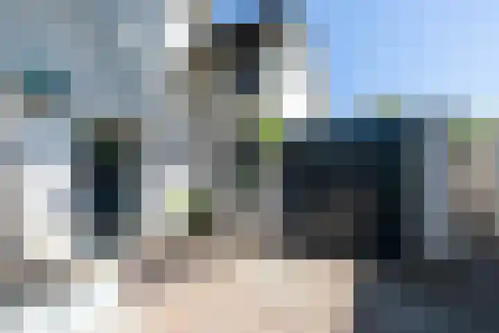 Honingzwam 110 Alphen aan den Rijn thumbnail 32