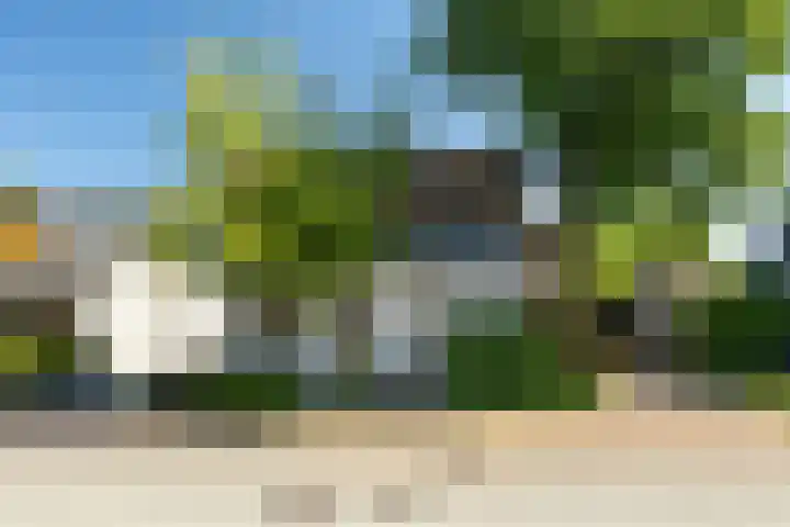 Honingzwam 110 Alphen aan den Rijn thumbnail 33