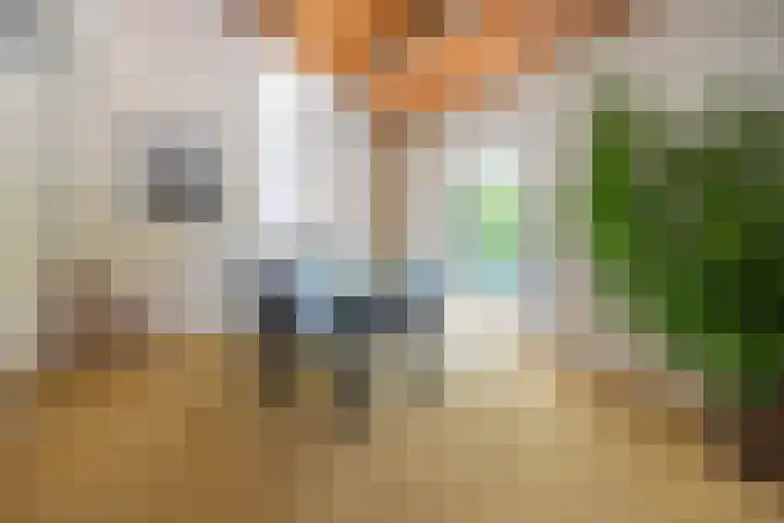 Honingzwam 110 Alphen aan den Rijn thumbnail 5