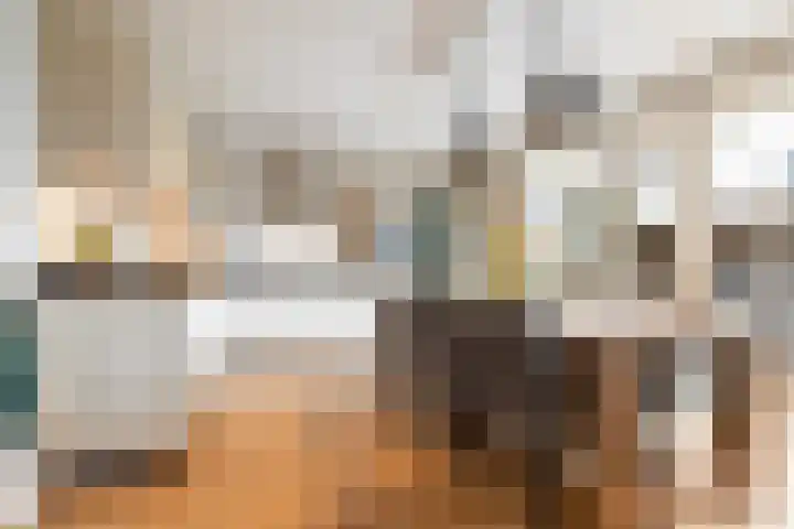 Honingzwam 23 Apeldoorn thumbnail 11