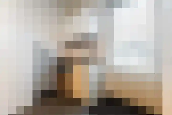 Honingzwam 23 Apeldoorn thumbnail 13