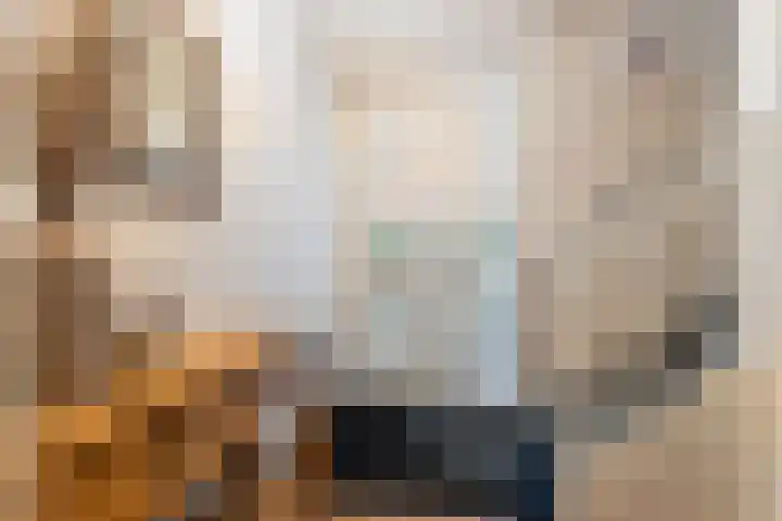 Honingzwam 23 Apeldoorn thumbnail 16