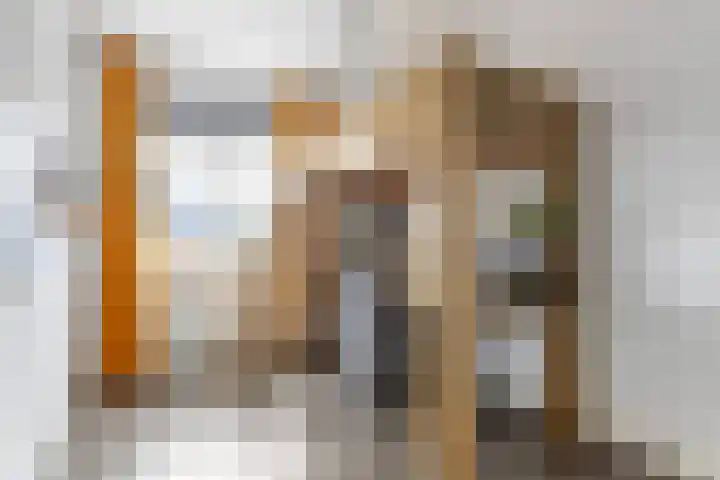 Honingzwam 23 Apeldoorn thumbnail 23