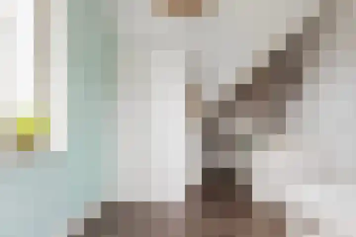 Honingzwam 23 Apeldoorn thumbnail 30