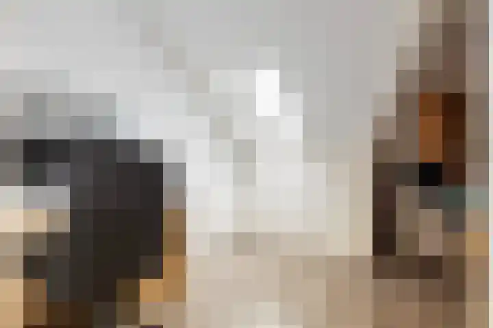 Honingzwam 23 Apeldoorn thumbnail 32