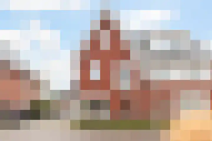 Honingzwam 23 Apeldoorn thumbnail 34