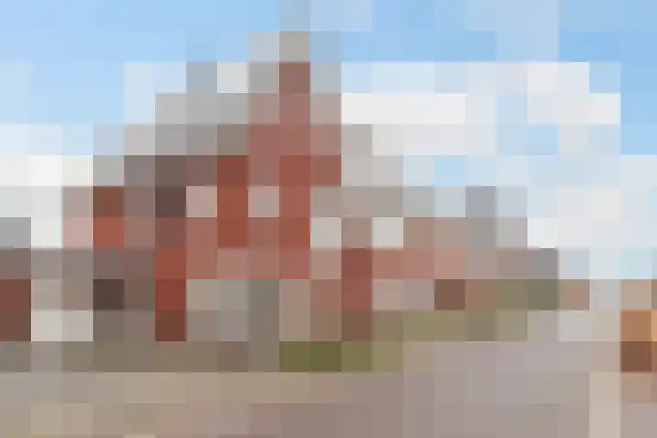 Honingzwam 23 Apeldoorn thumbnail 35