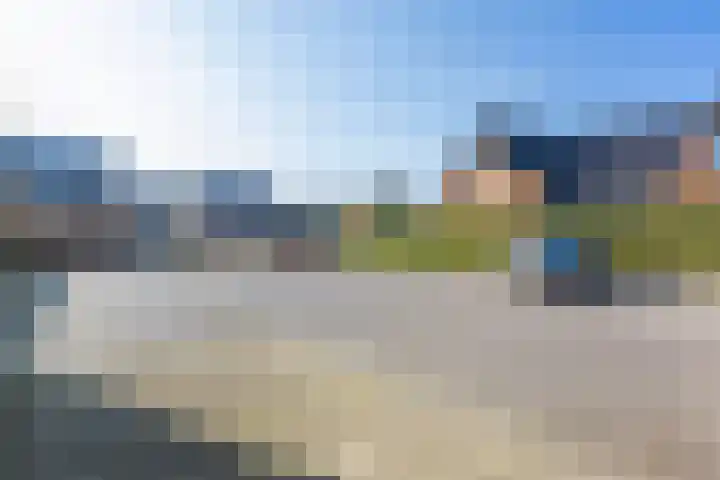 Honingzwam 23 Apeldoorn thumbnail 37