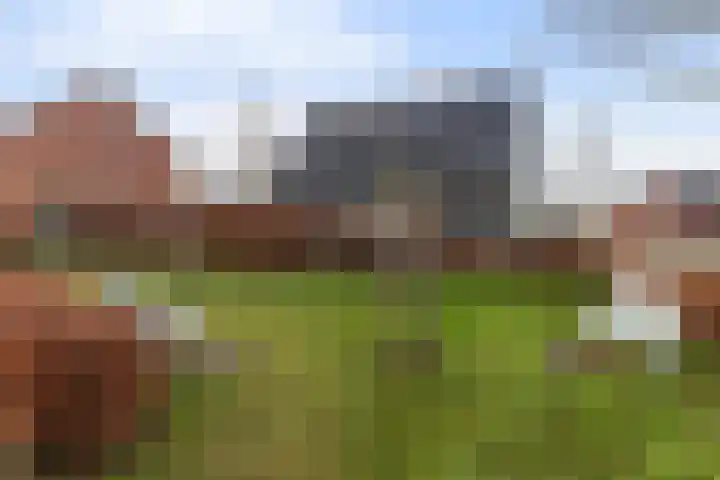 Honingzwam 23 Apeldoorn thumbnail 38