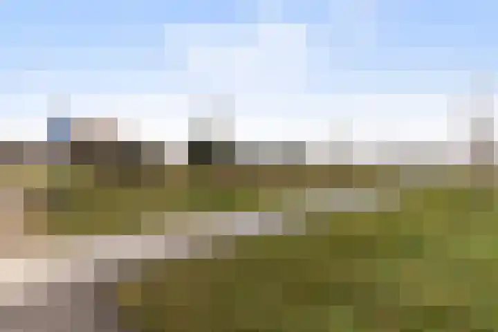 Honingzwam 23 Apeldoorn thumbnail 39